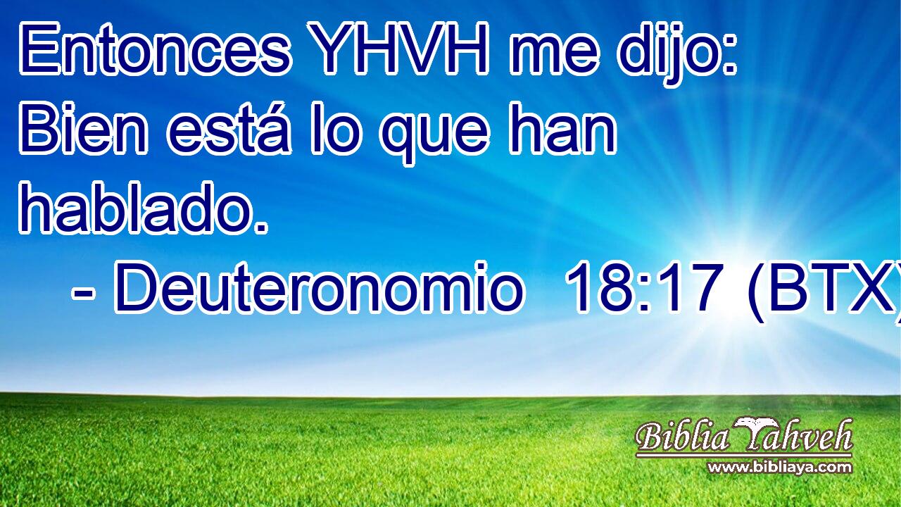 Entonces YHVH me dijo: Bien está lo que han hablado.