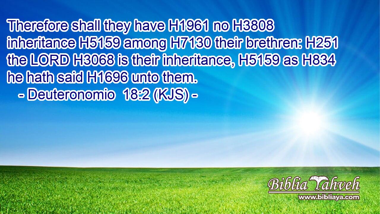 Therefore shall they have H1961 no H3808 inheritance H5159 among H7130 their brethren: H251 the LORD H3068 is their inheritance, H5159 as H834 he hath said H1696 unto them.