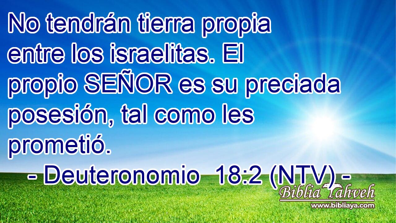 No tendrán tierra propia entre los israelitas. El propio SEÑOR es su preciada posesión, tal como les prometió.