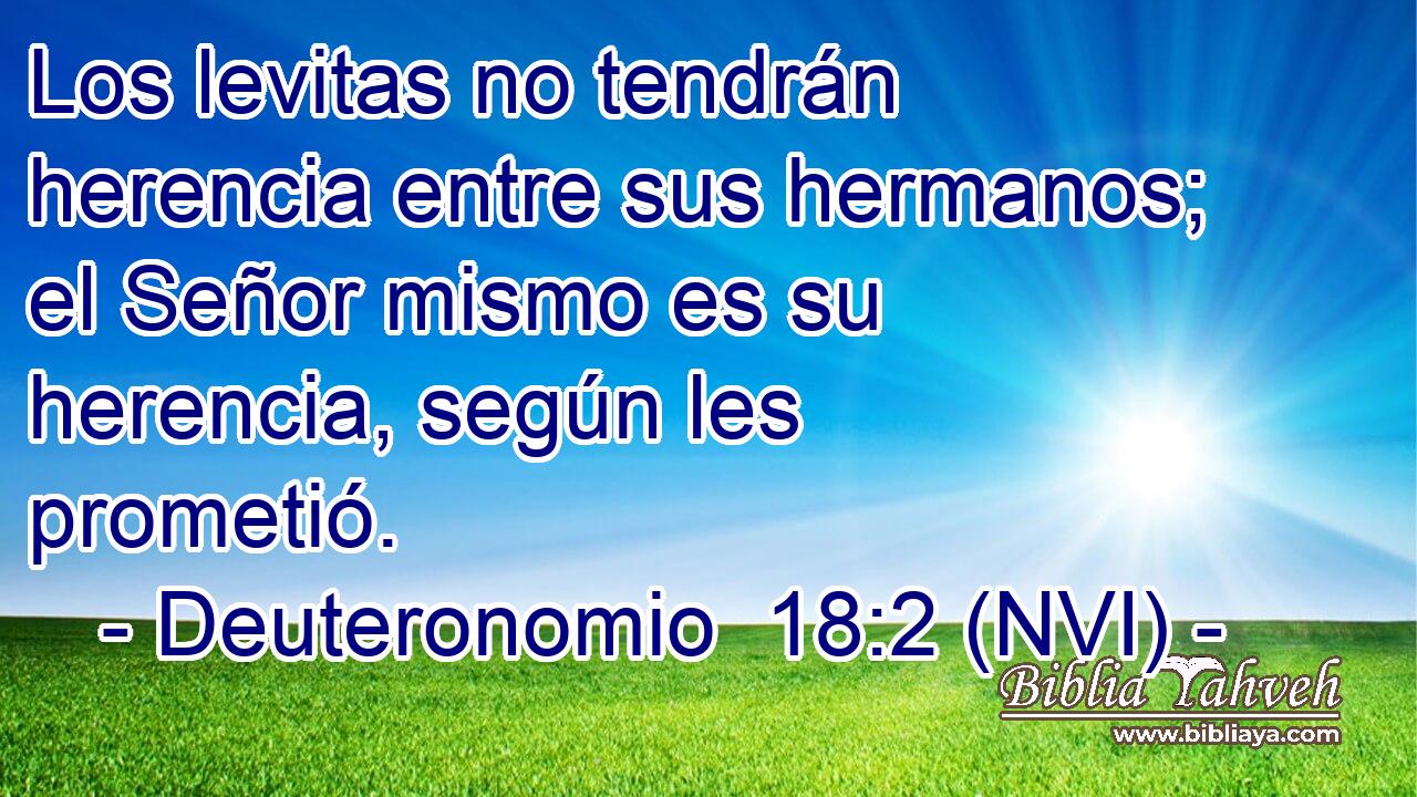  Los levitas no tendrán herencia entre sus hermanos; el Señor mismo es su herencia, según les prometió. 