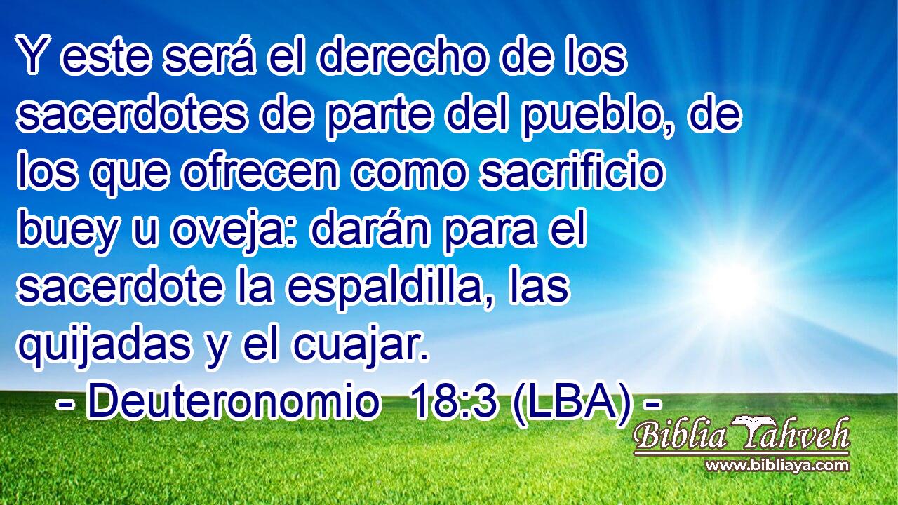 Y este será el derecho de los sacerdotes de parte del pueblo, de los que ofrecen como sacrificio buey u oveja: darán para el sacerdote la espaldilla, las quijadas y el cuajar.