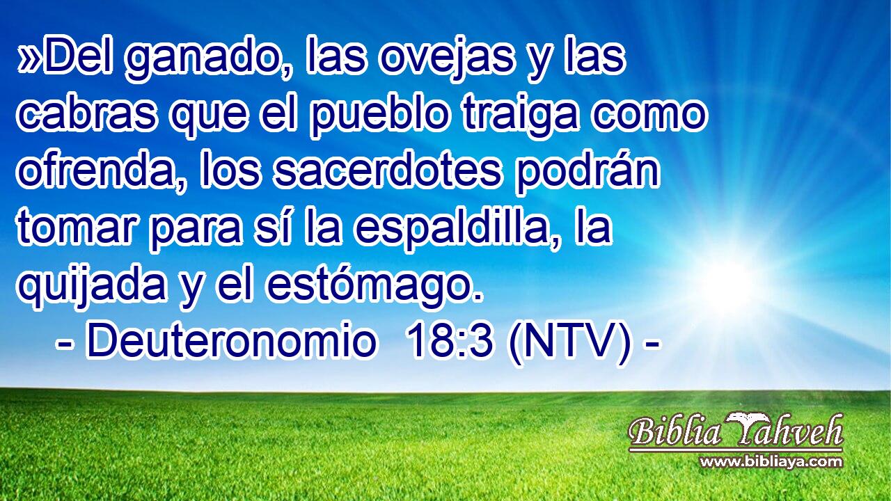 »Del ganado, las ovejas y las cabras que el pueblo traiga como ofrenda, los sacerdotes podrán tomar para sí la espaldilla, la quijada y el estómago.