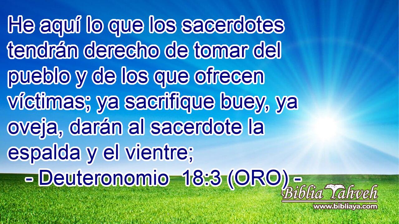  He aquí lo que los sacerdotes tendrán derecho de tomar del pueblo y de los que ofrecen víctimas; ya sacrifique buey, ya oveja, darán al sacerdote la espalda y el vientre; 