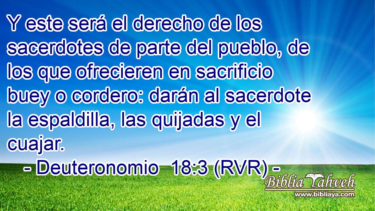 Y este será el derecho de los sacerdotes de parte del pueblo, de los que ofrecieren en sacrificio buey o cordero: darán al sacerdote la espaldilla, las quijadas y el cuajar.