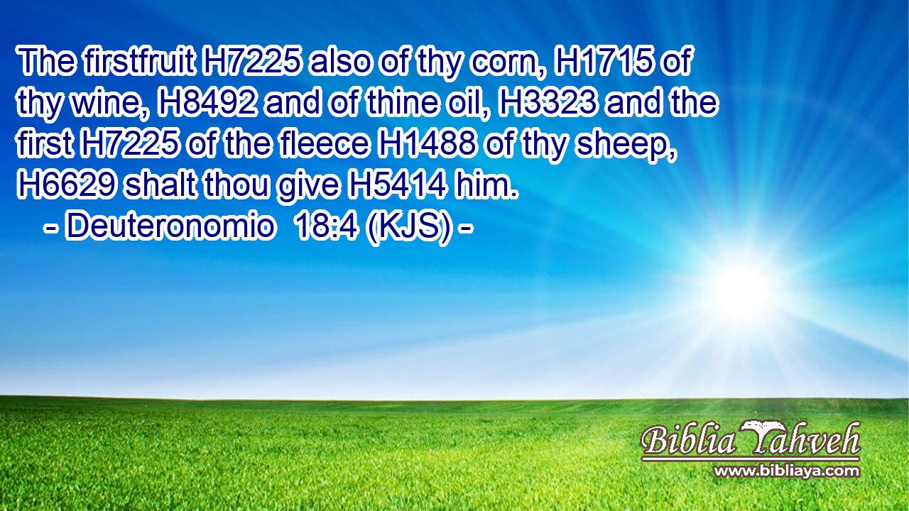 The firstfruit H7225 also of thy corn, H1715 of thy wine, H8492 and of thine oil, H3323 and the first H7225 of the fleece H1488 of thy sheep, H6629 shalt thou give H5414 him.