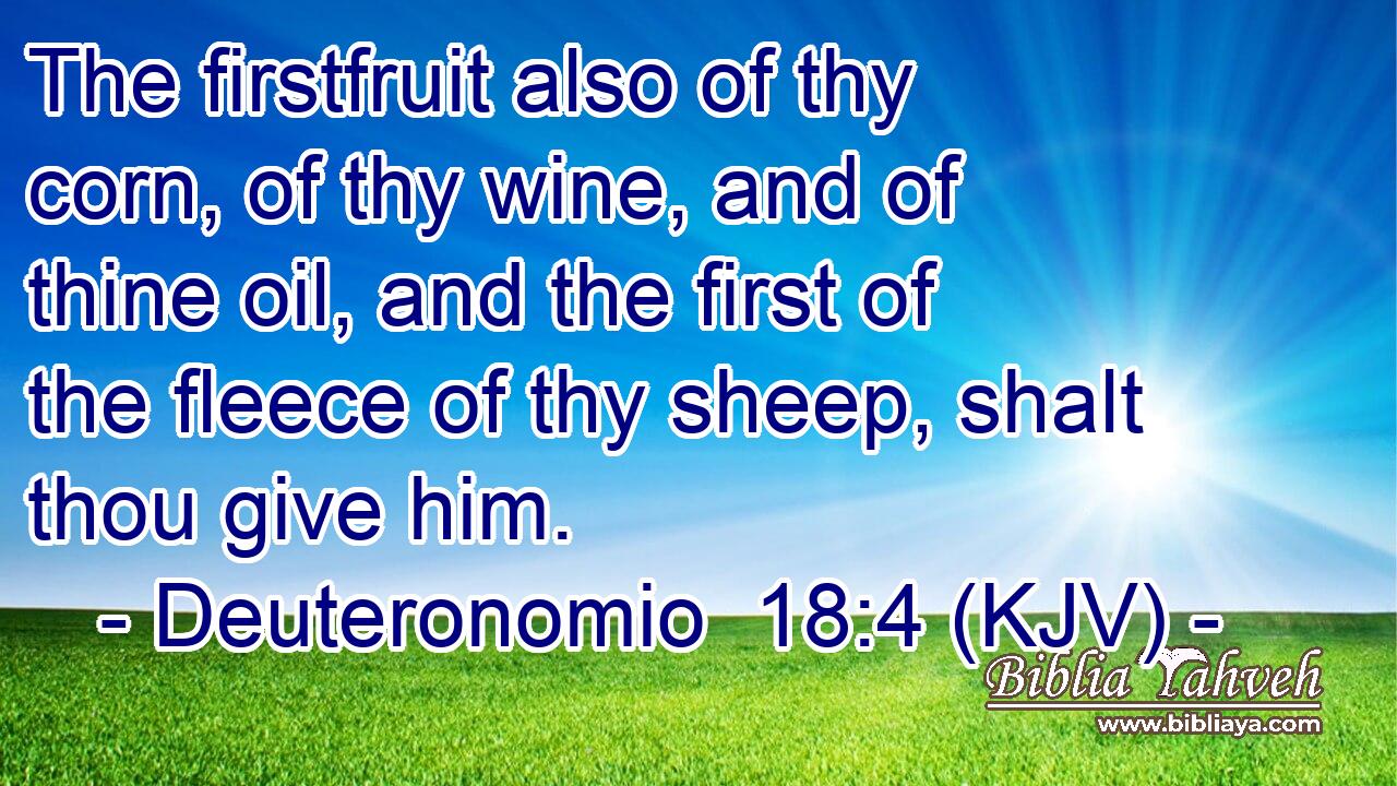 The firstfruit also of thy corn, of thy wine, and of thine oil, and the first of the fleece of thy sheep, shalt thou give him.