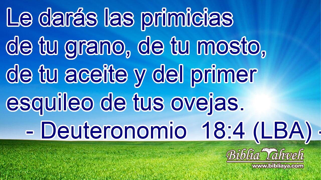 Le darás las primicias de tu grano, de tu mosto, de tu aceite y del primer esquileo de tus ovejas.