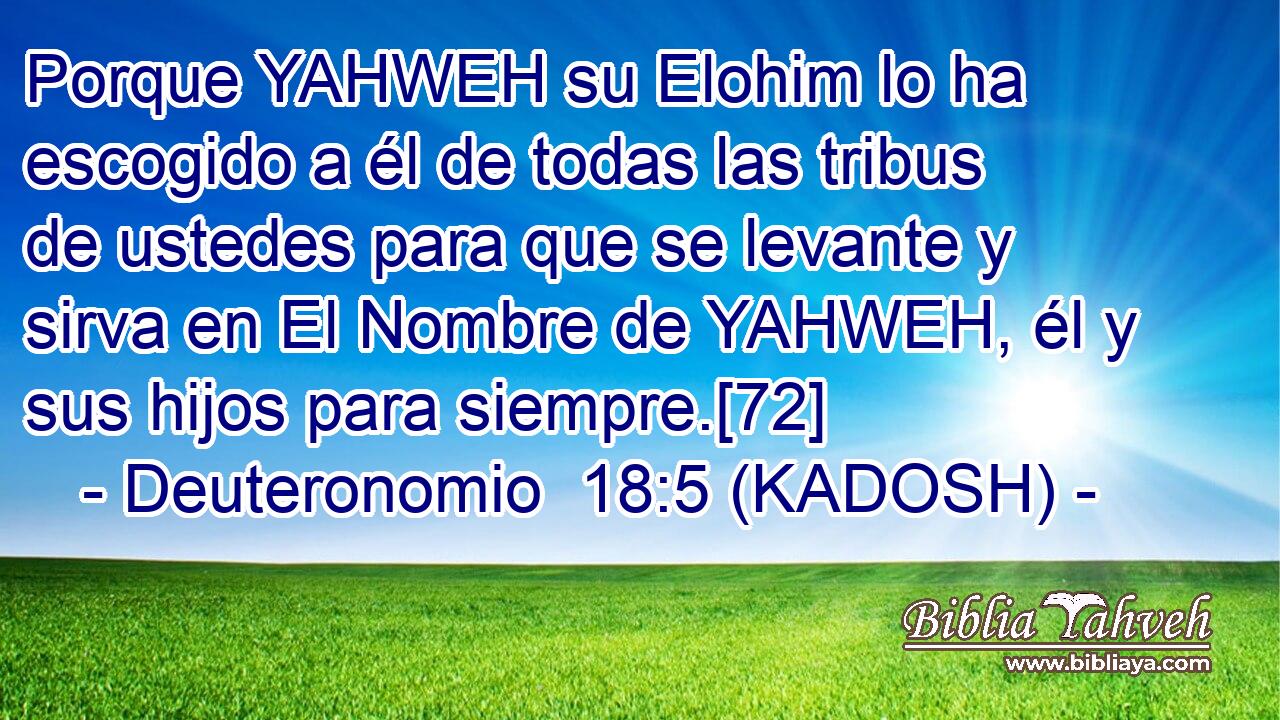  Porque YAHWEH su Elohim lo ha escogido a él de todas las tribus de ustedes para que se levante y sirva en El Nombre de YAHWEH, él y sus hijos para siempre.[72] 