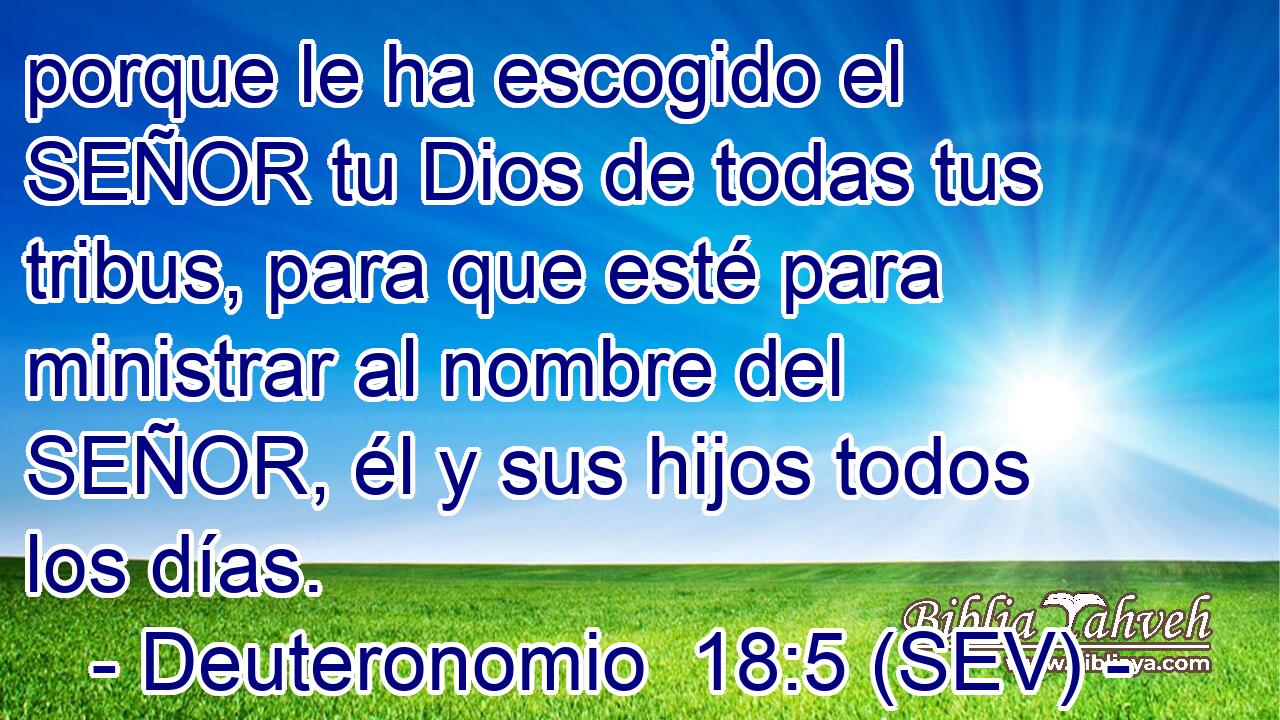 porque le ha escogido el SEÑOR tu Dios de todas tus tribus, para que esté para ministrar al nombre del SEÑOR, él y sus hijos todos los días.