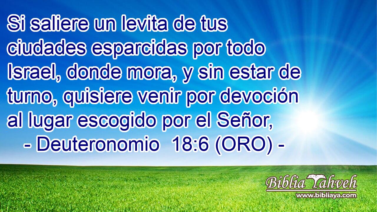  Si saliere un levita de tus ciudades esparcidas por todo Israel, donde mora, y sin estar de turno, quisiere venir por devoción al lugar escogido por el Señor, 