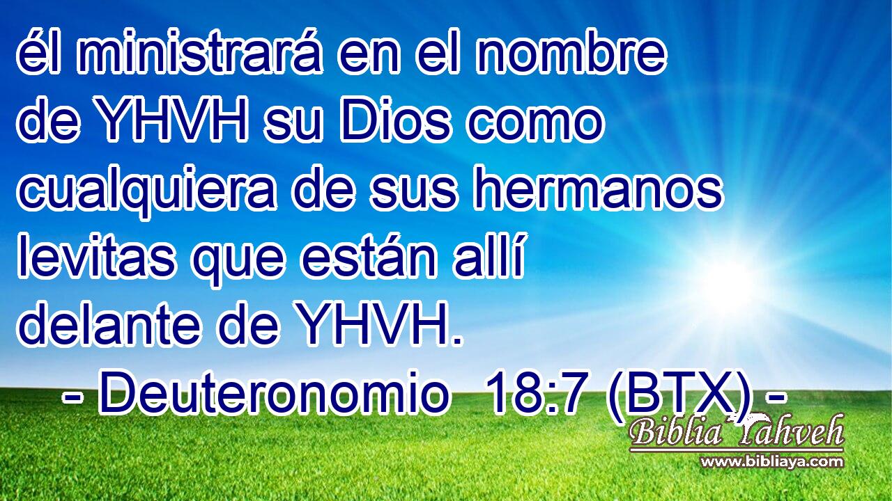 él ministrará en el nombre de YHVH su Dios como cualquiera de sus hermanos levitas que están allí delante de YHVH.