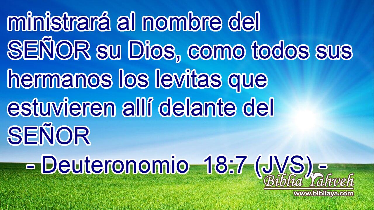 ministrará al nombre del SEÑOR su Dios, como todos sus hermanos los levitas que estuvieren allí delante del SEÑOR