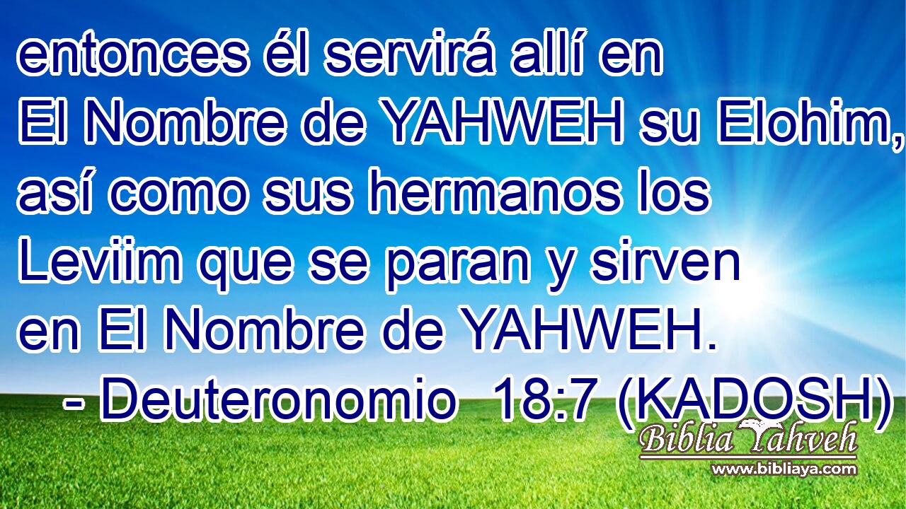  entonces él servirá allí en El Nombre de YAHWEH su Elohim, así como sus hermanos los Leviim que se paran y sirven en El Nombre de YAHWEH. 