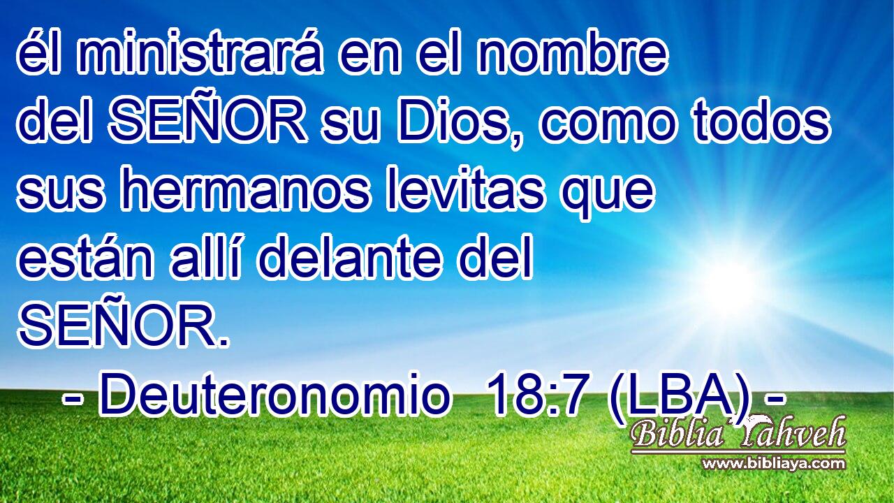 él ministrará en el nombre del SEÑOR su Dios, como todos sus hermanos levitas que están allí delante del SEÑOR.