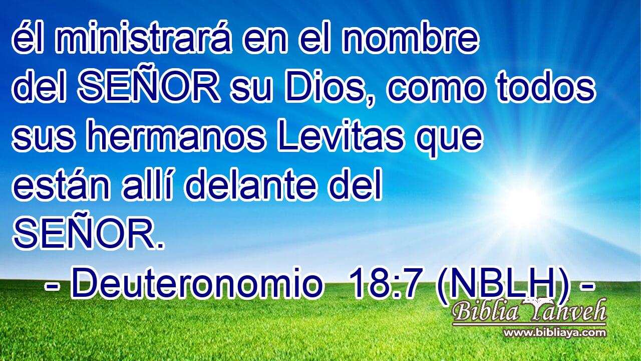  él ministrará en el nombre del SEÑOR su Dios, como todos sus hermanos Levitas que están allí delante del SEÑOR. 