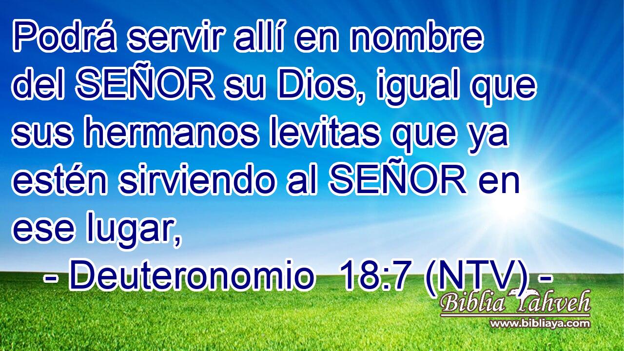 Podrá servir allí en nombre del SEÑOR su Dios, igual que sus hermanos levitas que ya estén sirviendo al SEÑOR en ese lugar,
