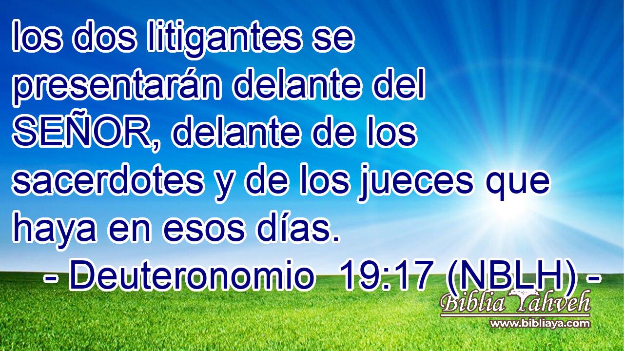  los dos litigantes se presentarán delante del SEÑOR, delante de los sacerdotes y de los jueces que haya en esos días. 