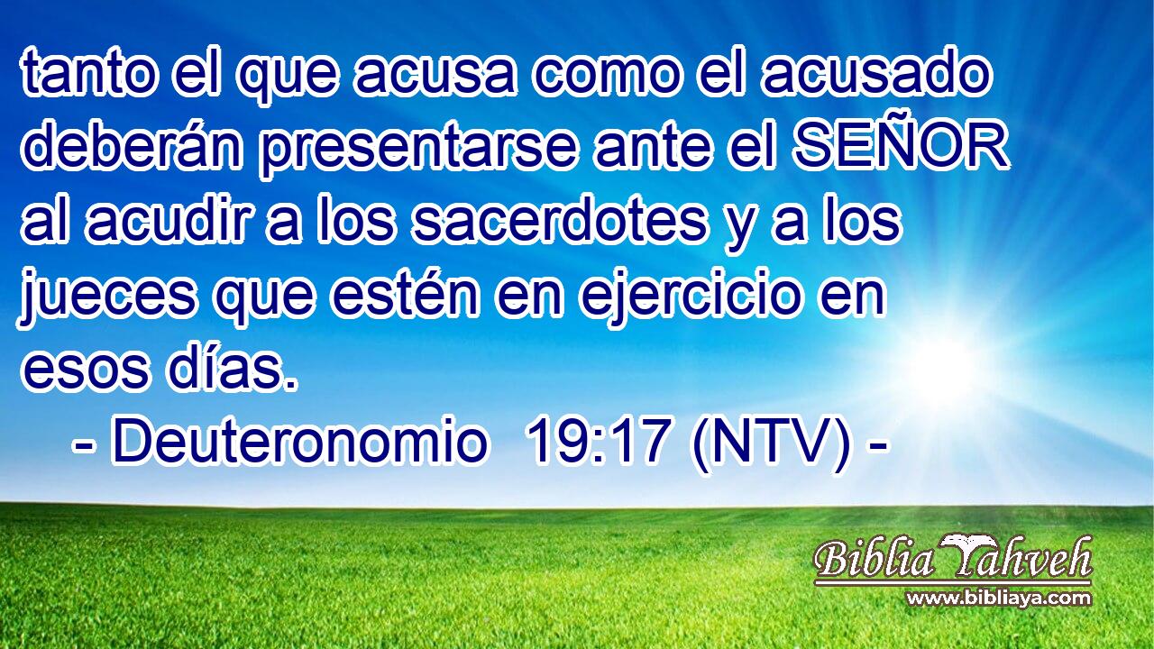 tanto el que acusa como el acusado deberán presentarse ante el SEÑOR al acudir a los sacerdotes y a los jueces que estén en ejercicio en esos días.