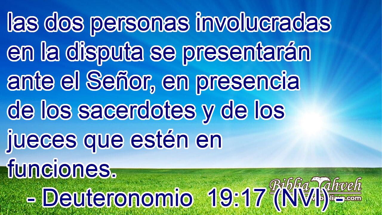  las dos personas involucradas en la disputa se presentarán ante el Señor, en presencia de los sacerdotes y de los jueces que estén en funciones. 