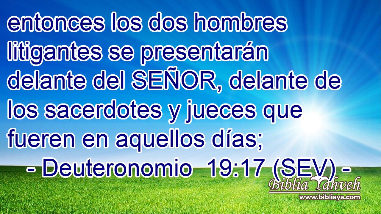 entonces los dos hombres litigantes se presentarán delante del SEÑOR, delante de los sacerdotes y jueces que fueren en aquellos días;