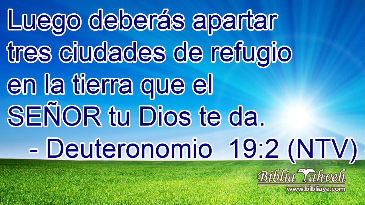 Luego deberás apartar tres ciudades de refugio en la tierra que el SEÑOR tu Dios te da.