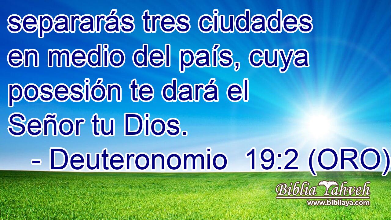  separarás tres ciudades en medio del país, cuya posesión te dará el Señor tu Dios. 