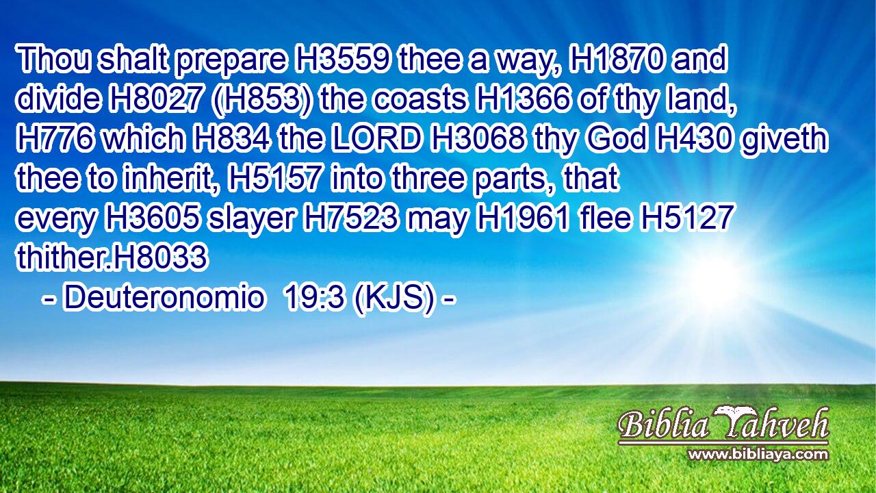 Thou shalt prepare H3559 thee a way, H1870 and divide H8027 (H853) the coasts H1366 of thy land, H776 which H834 the LORD H3068 thy God H430 giveth thee to inherit, H5157 into three parts, that every H3605 slayer H7523 may H1961 flee H5127 thither.H8033
