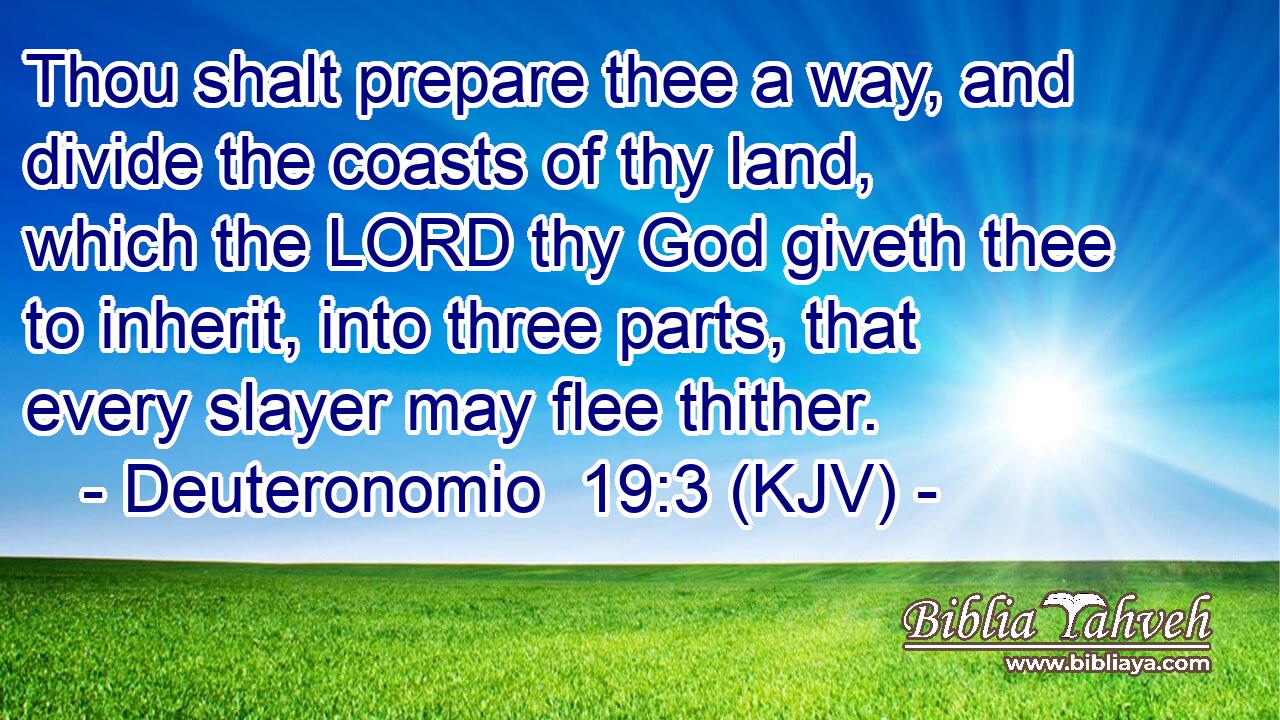 Thou shalt prepare thee a way, and divide the coasts of thy land, which the LORD thy God giveth thee to inherit, into three parts, that every slayer may flee thither.