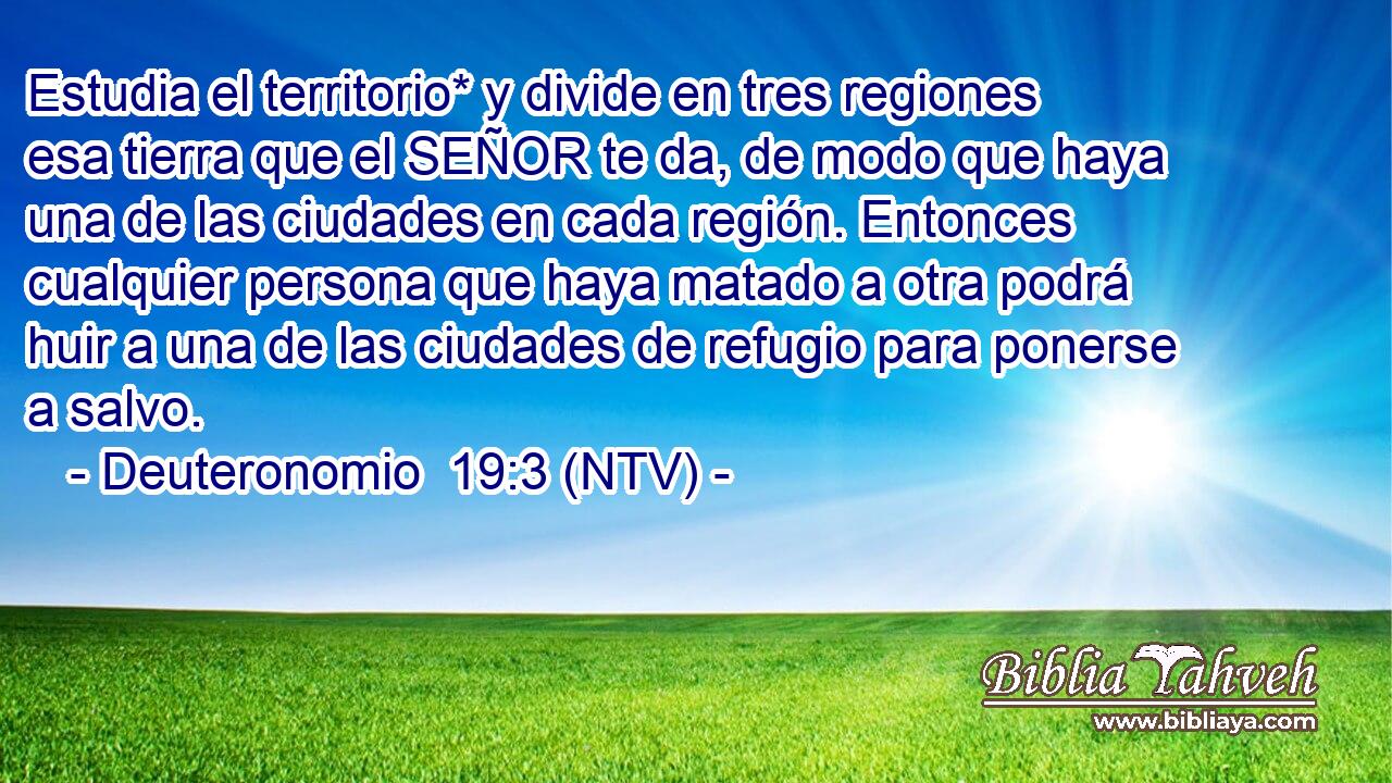 Estudia el territorio* y divide en tres regiones esa tierra que el SEÑOR te da, de modo que haya una de las ciudades en cada región. Entonces cualquier persona que haya matado a otra podrá huir a una de las ciudades de refugio para ponerse a salvo.