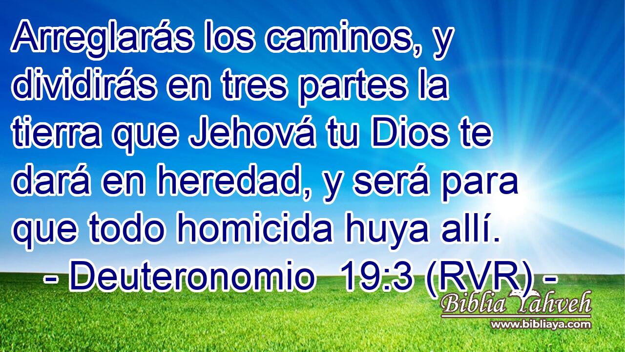 Arreglarás los caminos, y dividirás en tres partes la tierra que Jehová tu Dios te dará en heredad, y será para que todo homicida huya allí.