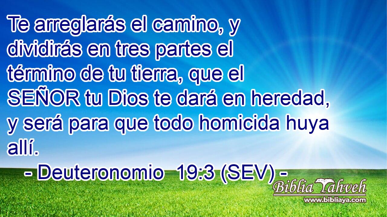 Te arreglarás el camino, y dividirás en tres partes el término de tu tierra, que el SEÑOR tu Dios te dará en heredad, y será para que todo homicida huya allí.