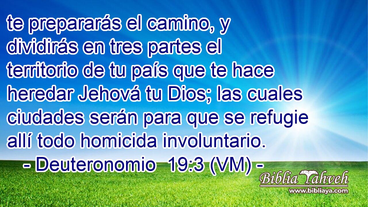 te prepararás el camino, y dividirás en tres partes el territorio de tu país que te hace heredar Jehová tu Dios; las cuales ciudades serán para que se refugie allí todo homicida involuntario. 