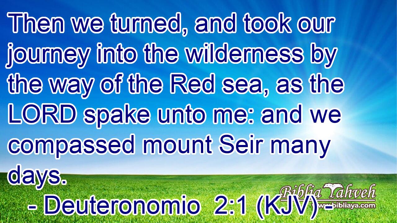 Then we turned, and took our journey into the wilderness by the way of the Red sea, as the LORD spake unto me: and we compassed mount Seir many days.