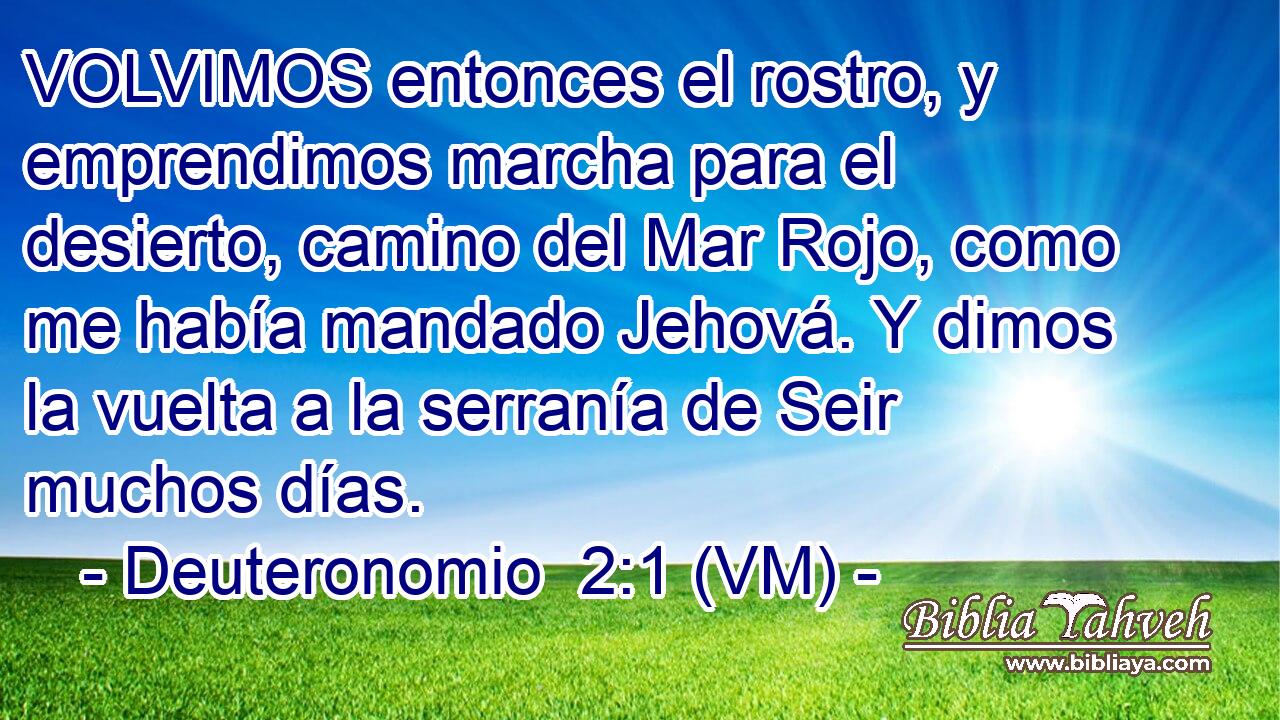 VOLVIMOS entonces el rostro, y emprendimos marcha para el desierto, camino del Mar Rojo, como me había mandado Jehová. Y dimos la vuelta a la serranía de Seir muchos días. 