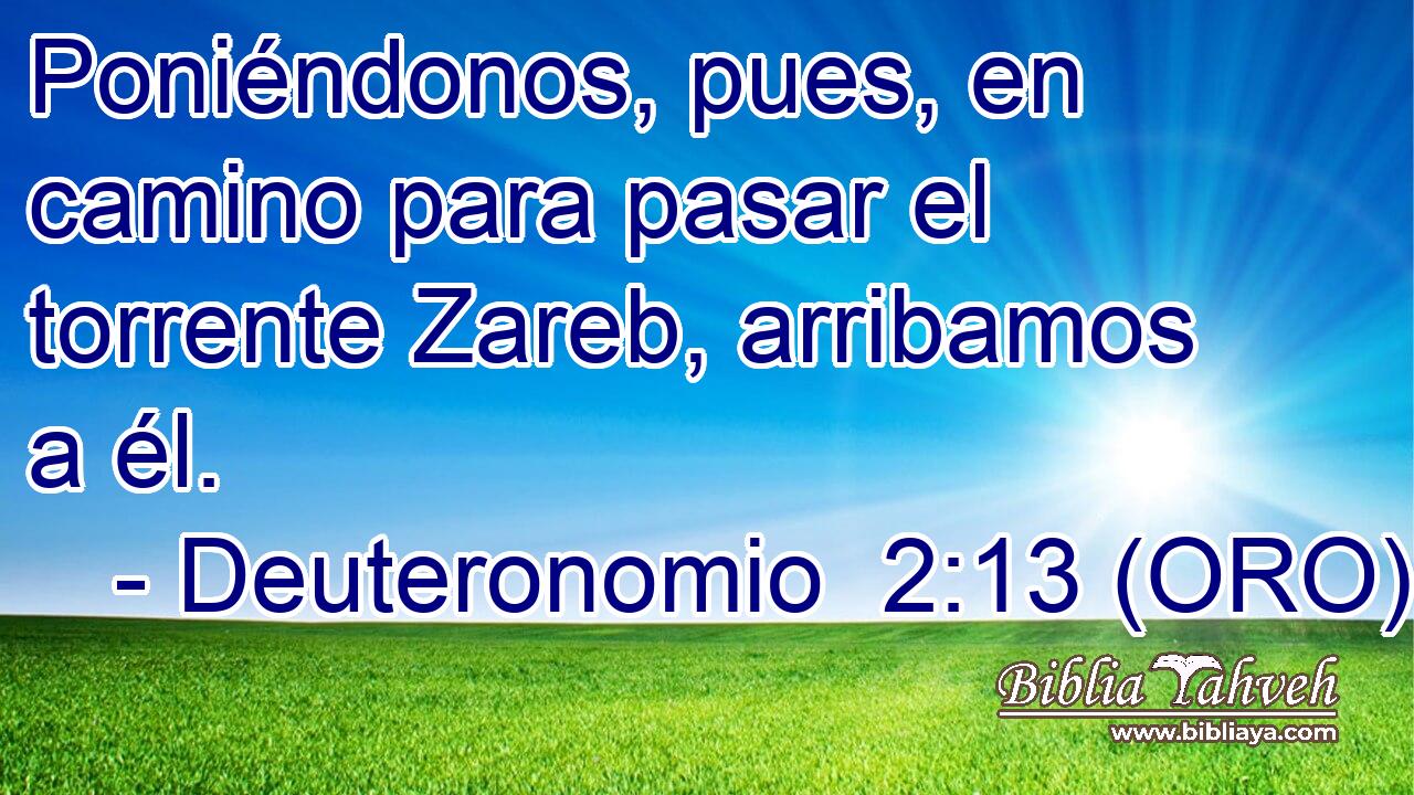  Poniéndonos, pues, en camino para pasar el torrente Zareb, arribamos a él. 
