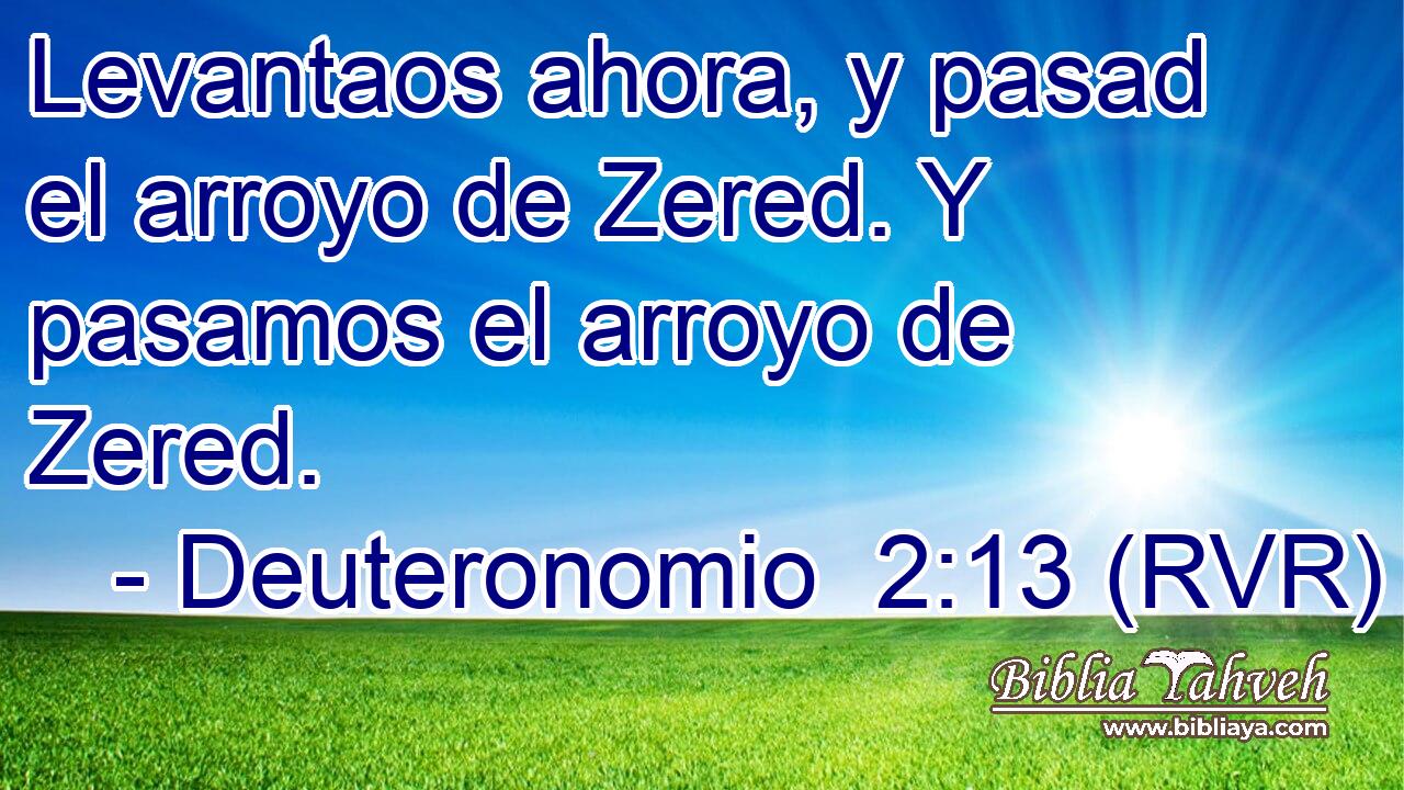 Levantaos ahora, y pasad el arroyo de Zered. Y pasamos el arroyo de Zered.