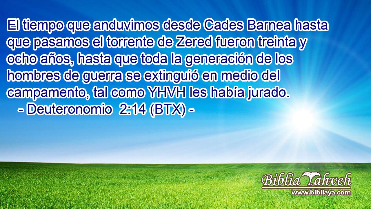 El tiempo que anduvimos desde Cades Barnea hasta que pasamos el torrente de Zered fueron treinta y ocho años, hasta que toda la generación de los hombres de guerra se extinguió en medio del campamento, tal como YHVH les había jurado.
