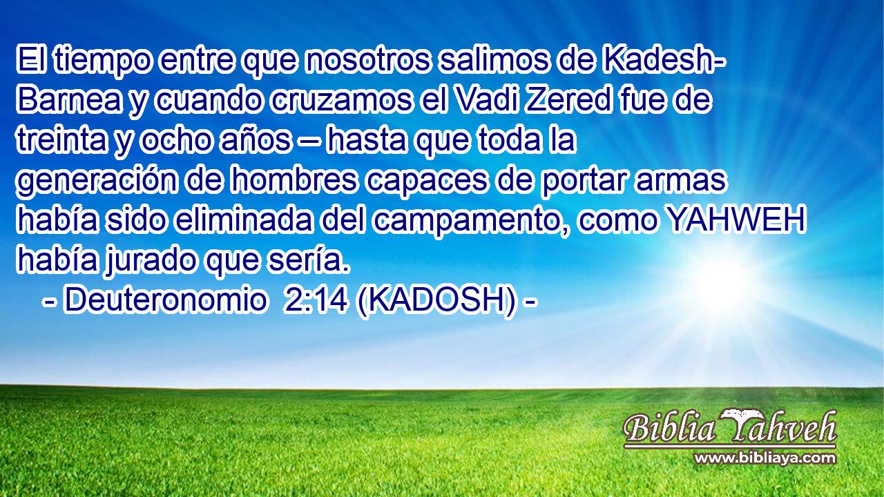  El tiempo entre que nosotros salimos de Kadesh- Barnea y cuando cruzamos el Vadi Zered fue de treinta y ocho años – hasta que toda la generación de hombres capaces de portar armas había sido eliminada del campamento, como YAHWEH había jurado que sería. 