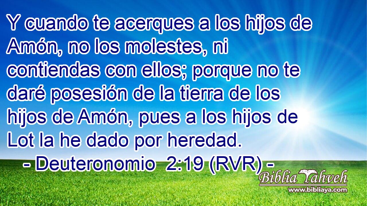 Y cuando te acerques a los hijos de Amón, no los molestes, ni contiendas con ellos; porque no te daré posesión de la tierra de los hijos de Amón, pues a los hijos de Lot la he dado por heredad.