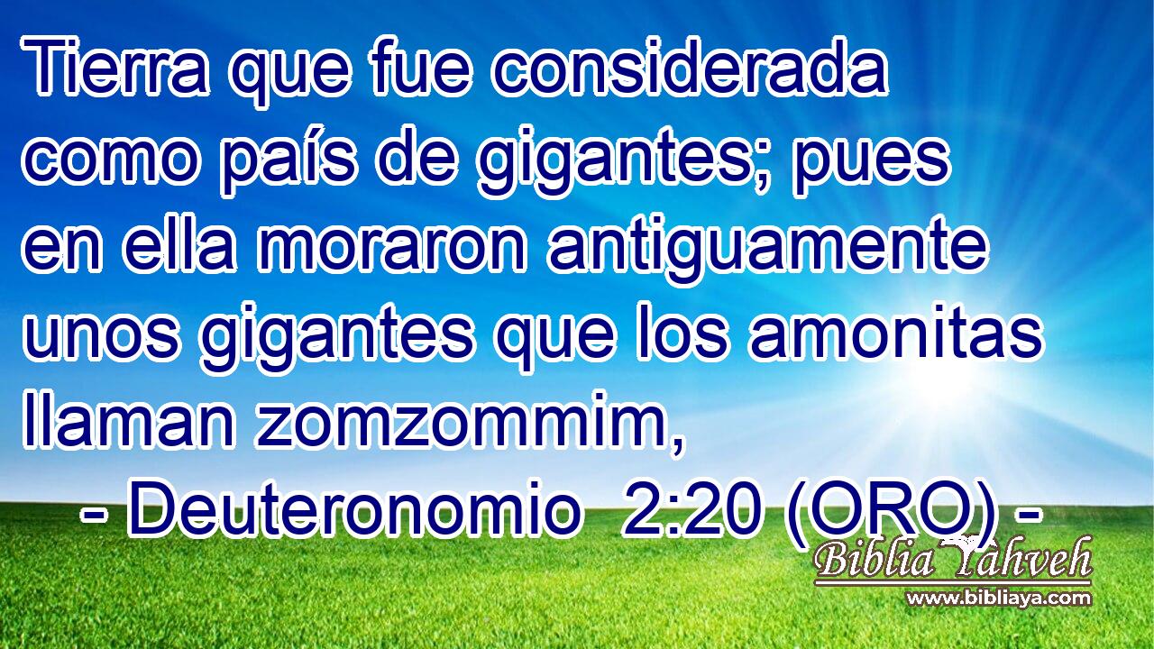  Tierra que fue considerada como país de gigantes; pues en ella moraron antiguamente unos gigantes que los amonitas llaman zomzommim, 