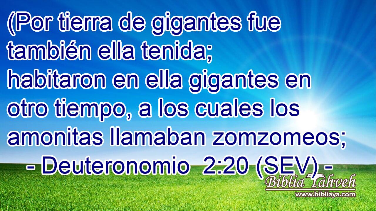 (Por tierra de gigantes fue también ella tenida; habitaron en ella gigantes en otro tiempo, a los cuales los amonitas llamaban zomzomeos;
