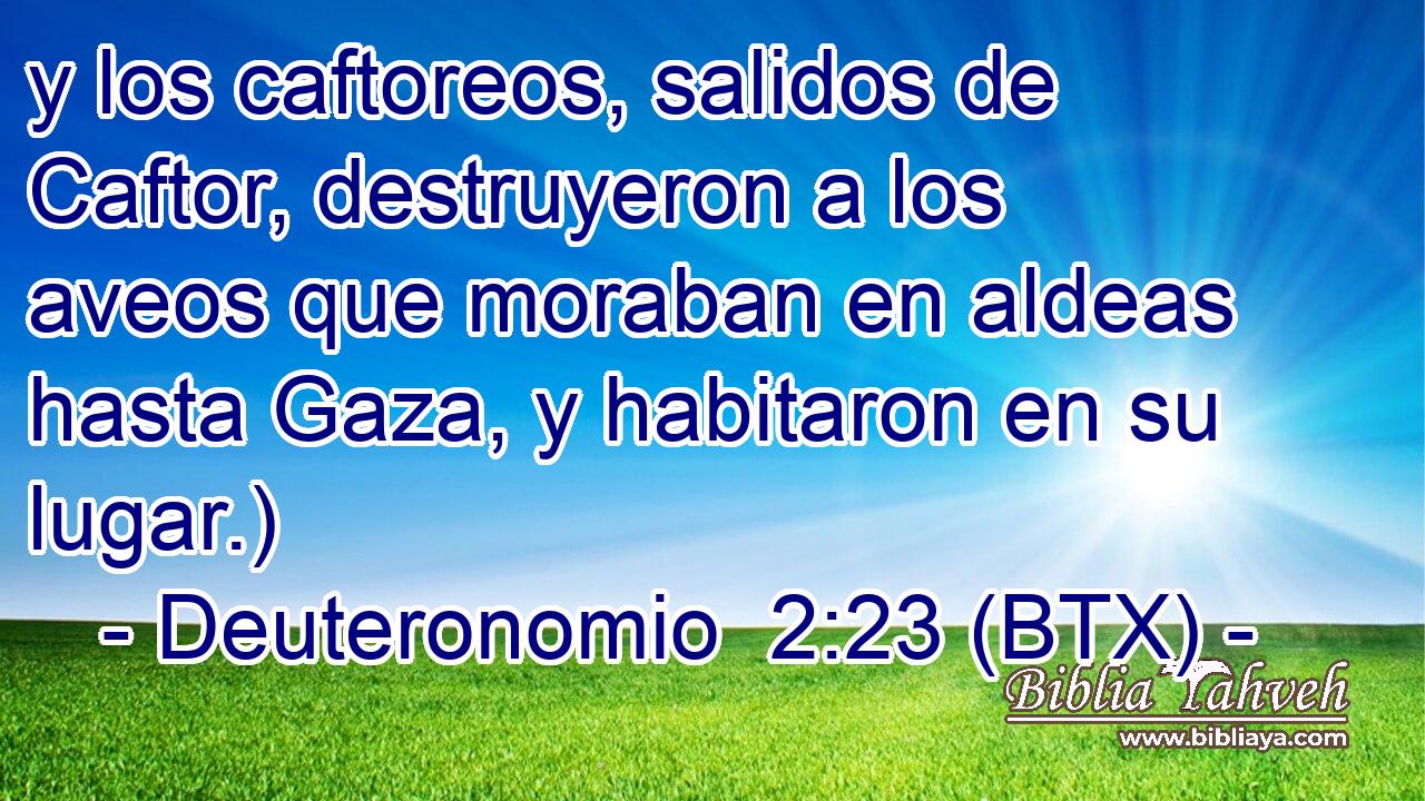 y los caftoreos, salidos de Caftor, destruyeron a los aveos que moraban en aldeas hasta Gaza, y habitaron en su lugar.)