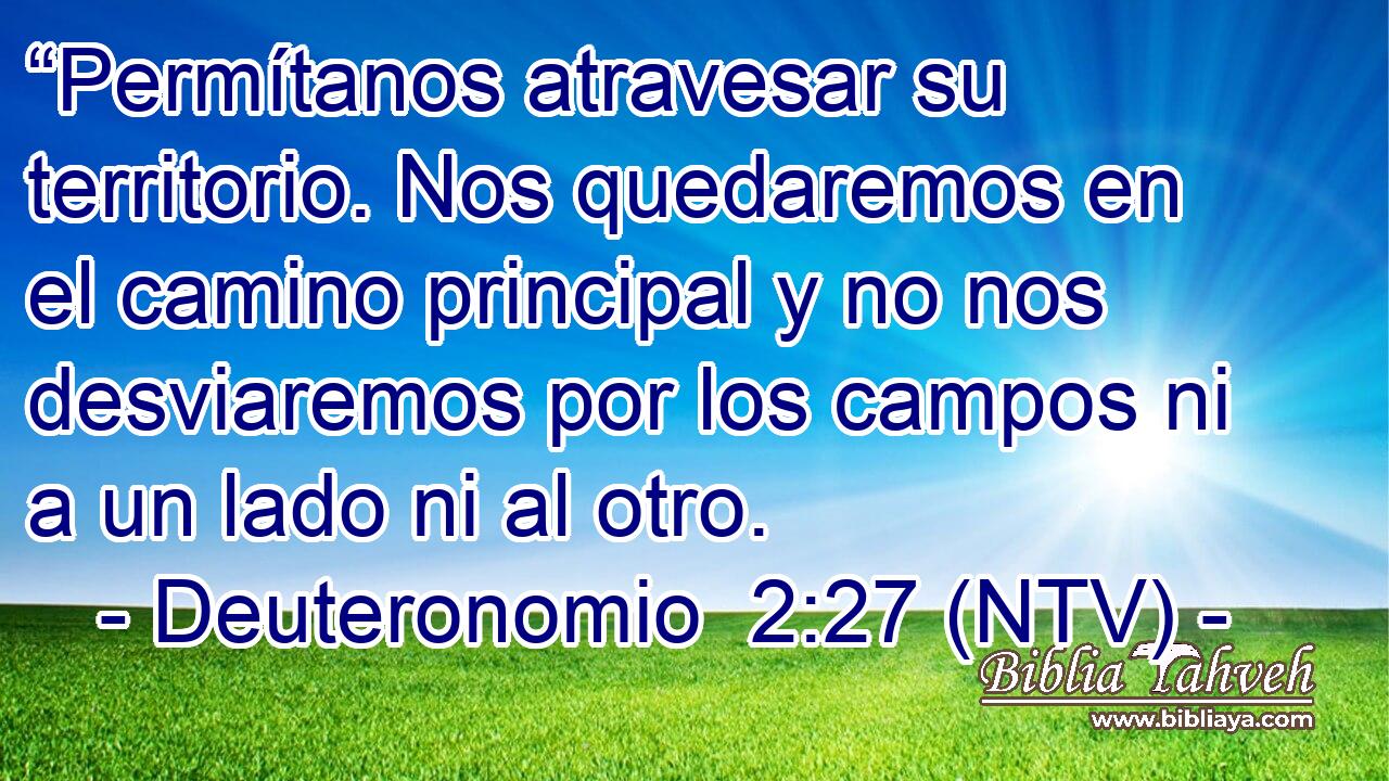 “Permítanos atravesar su territorio. Nos quedaremos en el camino principal y no nos desviaremos por los campos ni a un lado ni al otro.