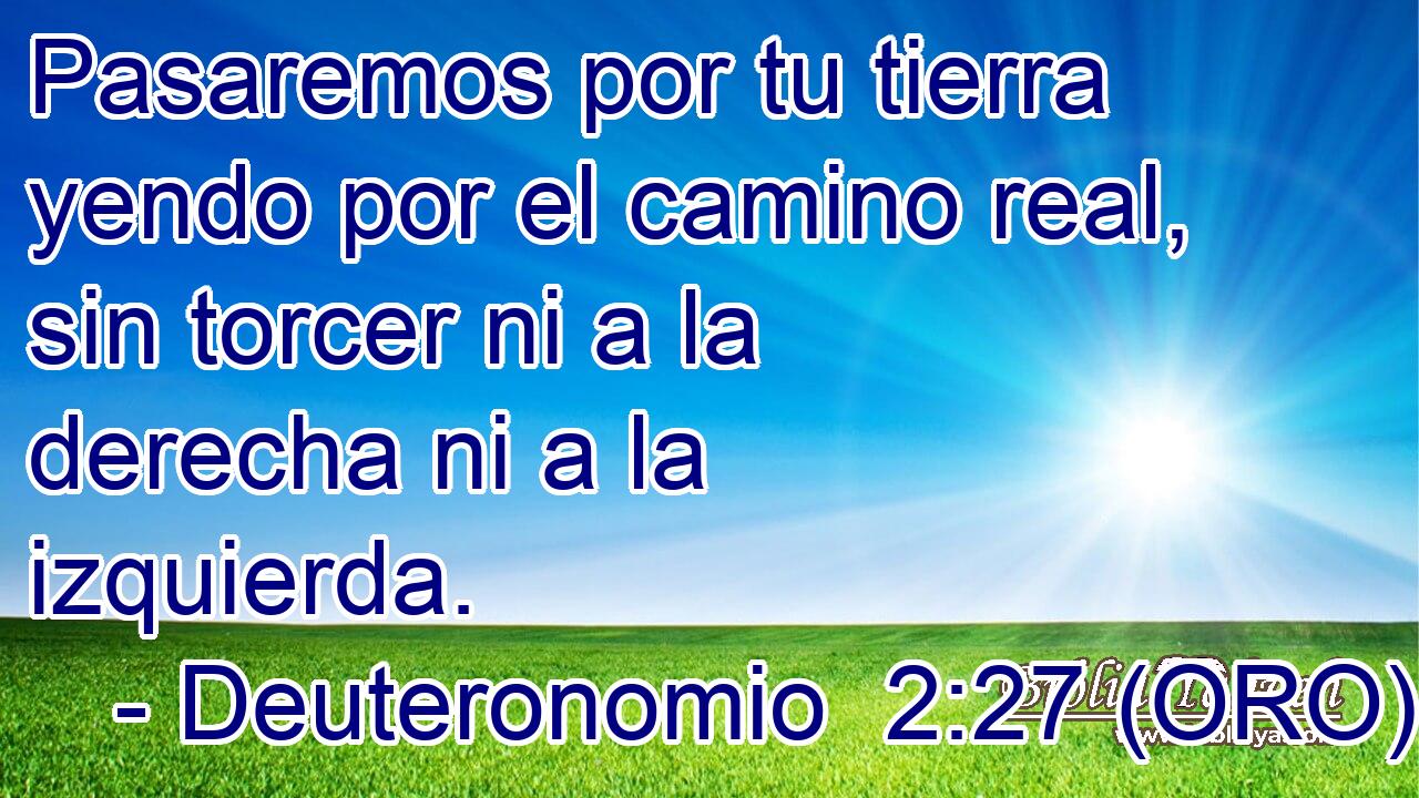  Pasaremos por tu tierra yendo por el camino real, sin torcer ni a la derecha ni a la izquierda. 