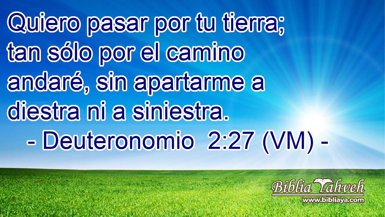  Quiero pasar por tu tierra; tan sólo por el camino andaré, sin apartarme a diestra ni a siniestra. 