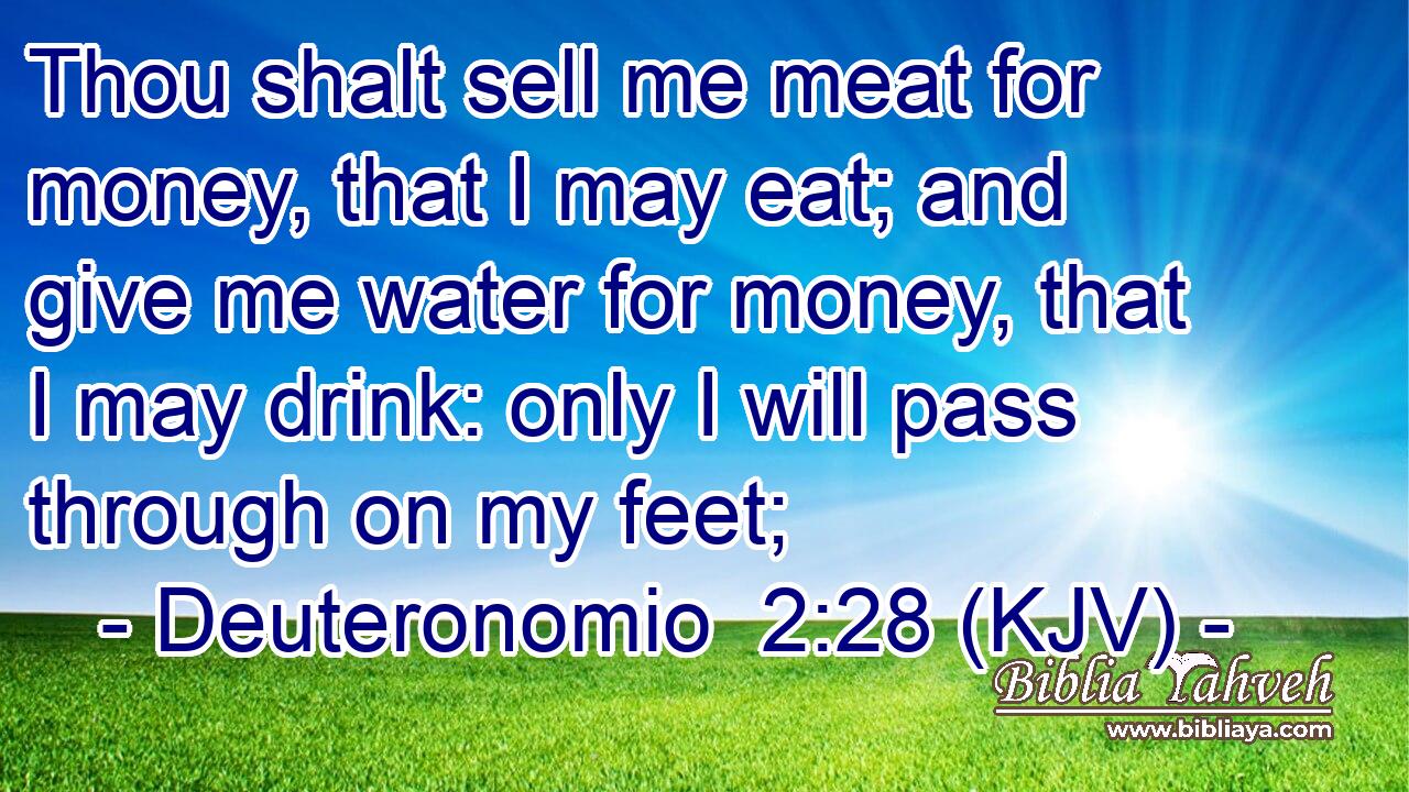 Thou shalt sell me meat for money, that I may eat; and give me water for money, that I may drink: only I will pass through on my feet;