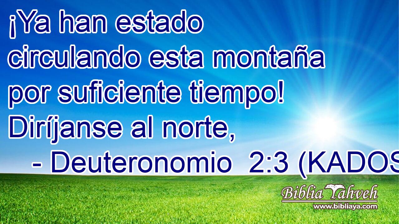  ¡Ya han estado circulando esta montaña por suficiente tiempo! Diríjanse al norte, 