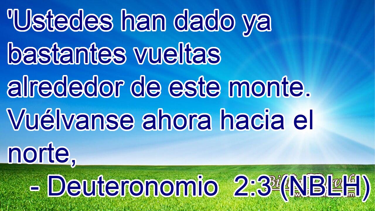  'Ustedes han dado ya bastantes vueltas alrededor de este monte. Vuélvanse ahora hacia el norte, 