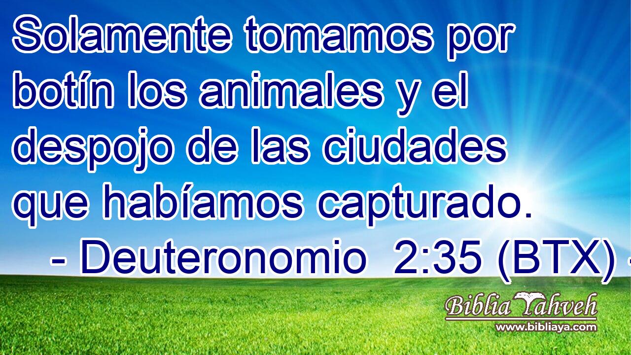Solamente tomamos por botín los animales y el despojo de las ciudades que habíamos capturado.