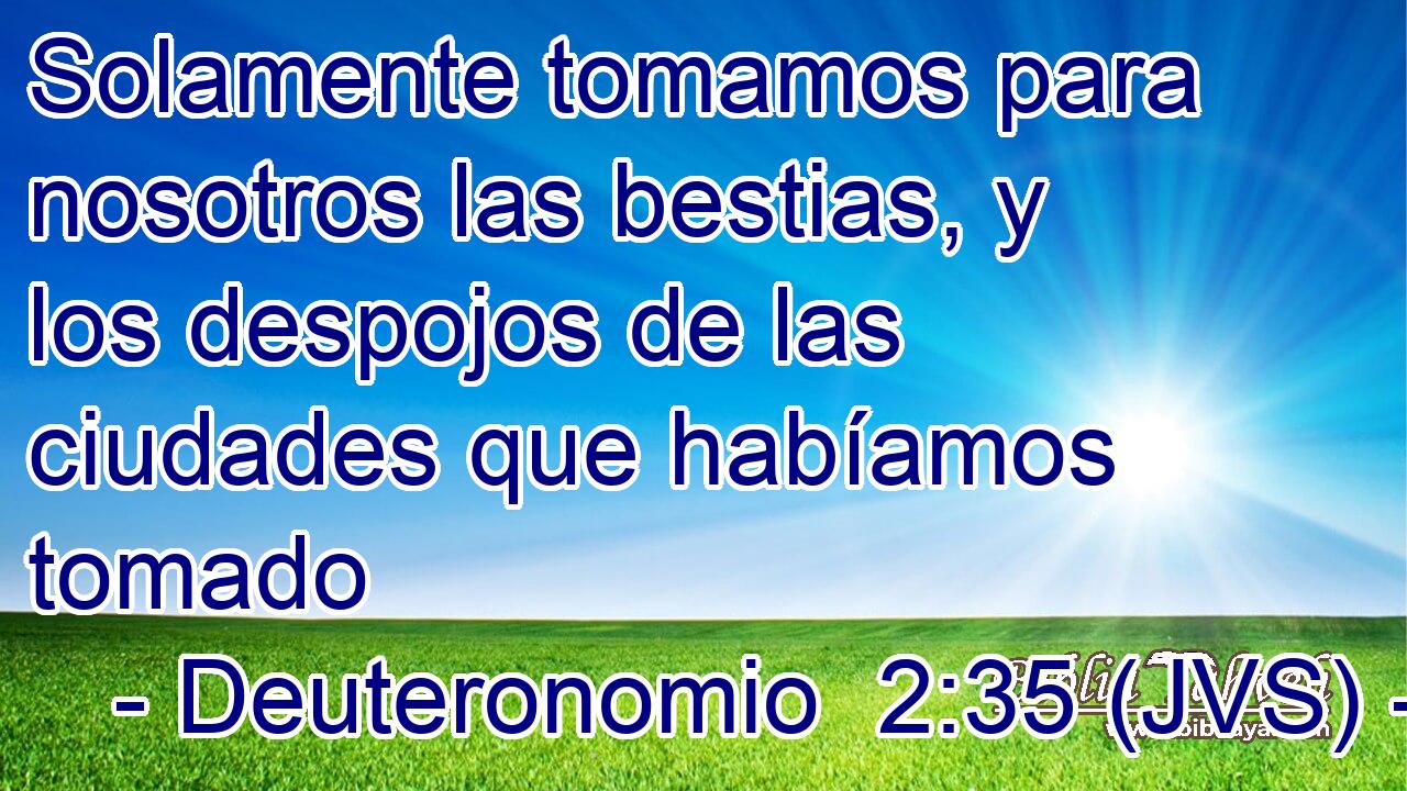 Solamente tomamos para nosotros las bestias, y los despojos de las ciudades que habíamos tomado